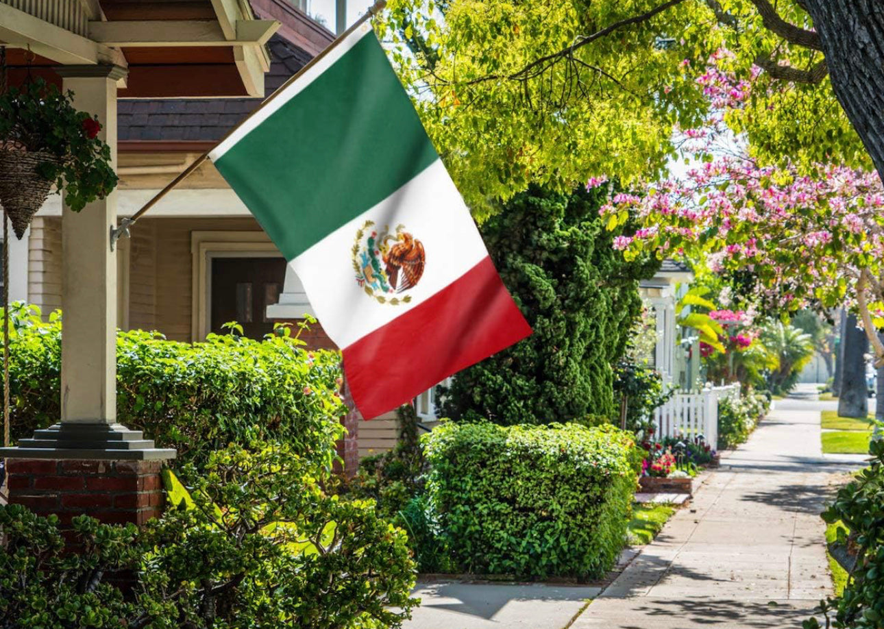 México flags 🔥bandera de mexico 🇲🇽 economica