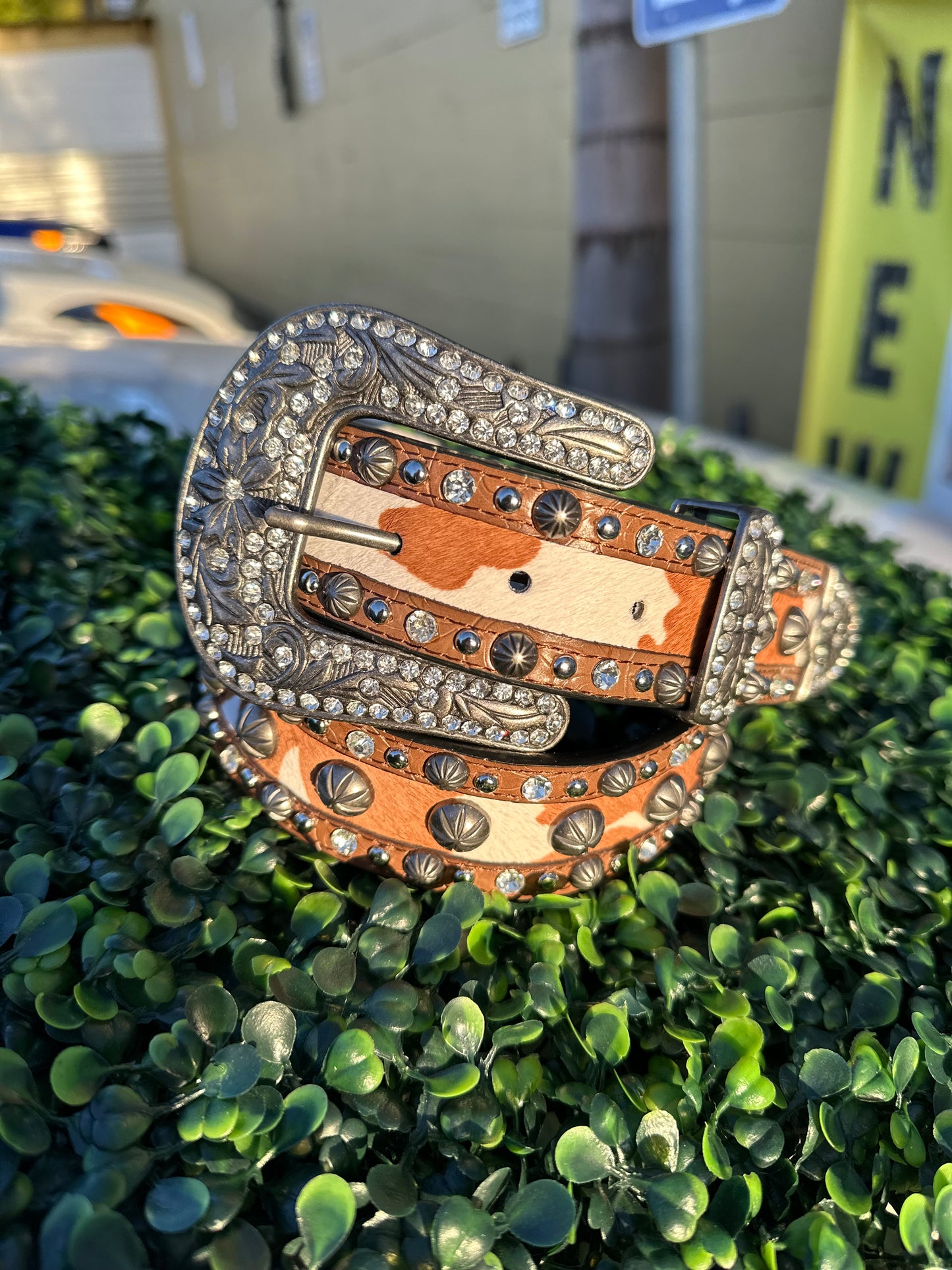 Women’s Hair-on-hide concho belt