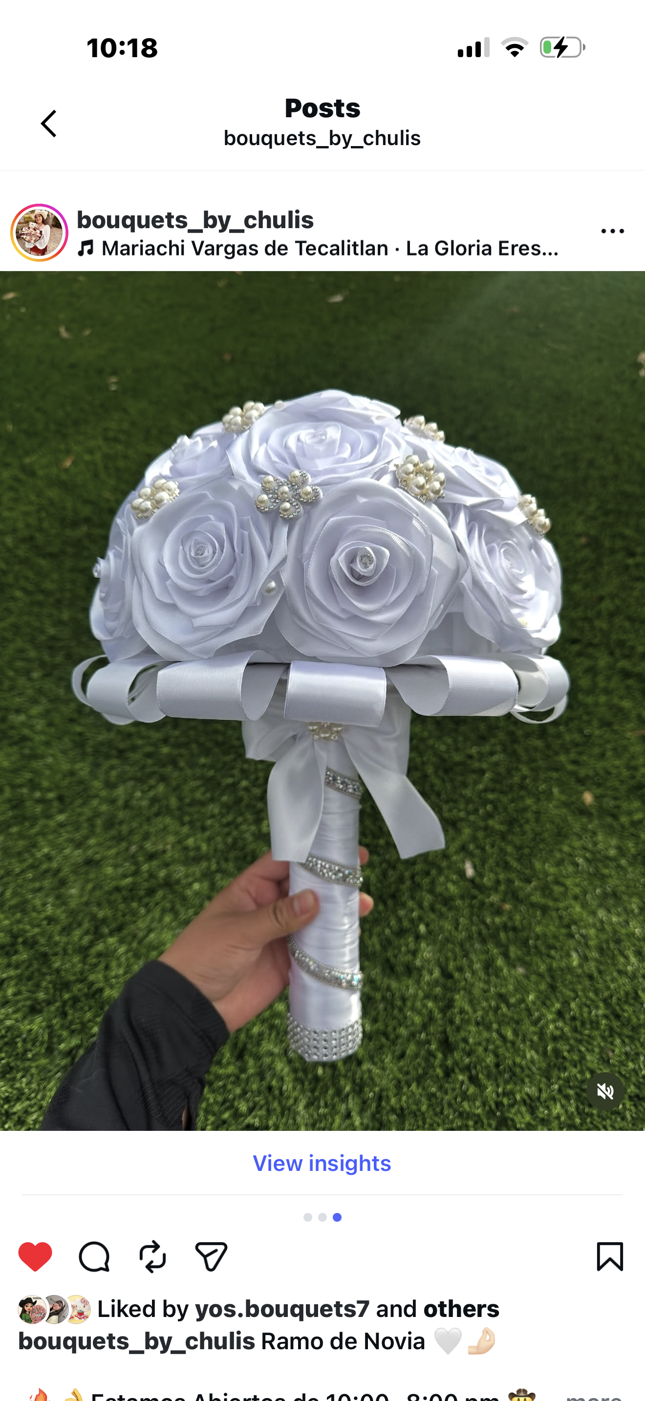 Ramo de Novia ๐ค