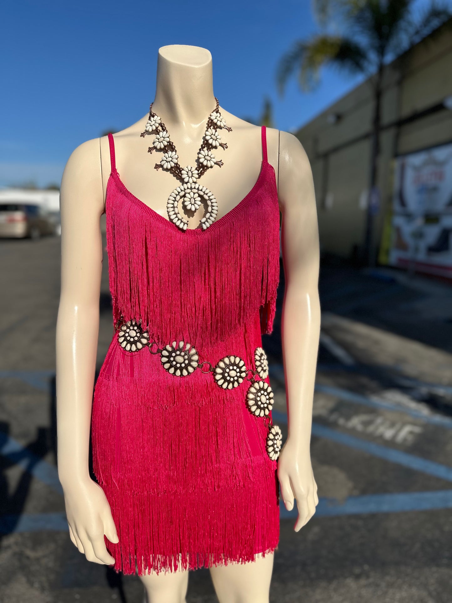 Hot pink fringe Dress